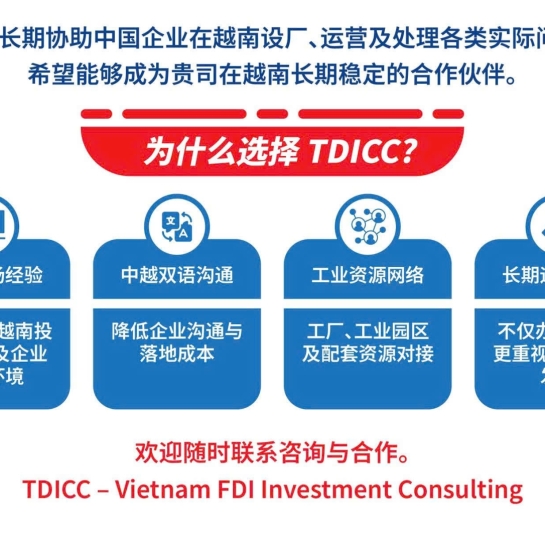 信鼎（越南）投资咨询有限公司的主要服务内容
